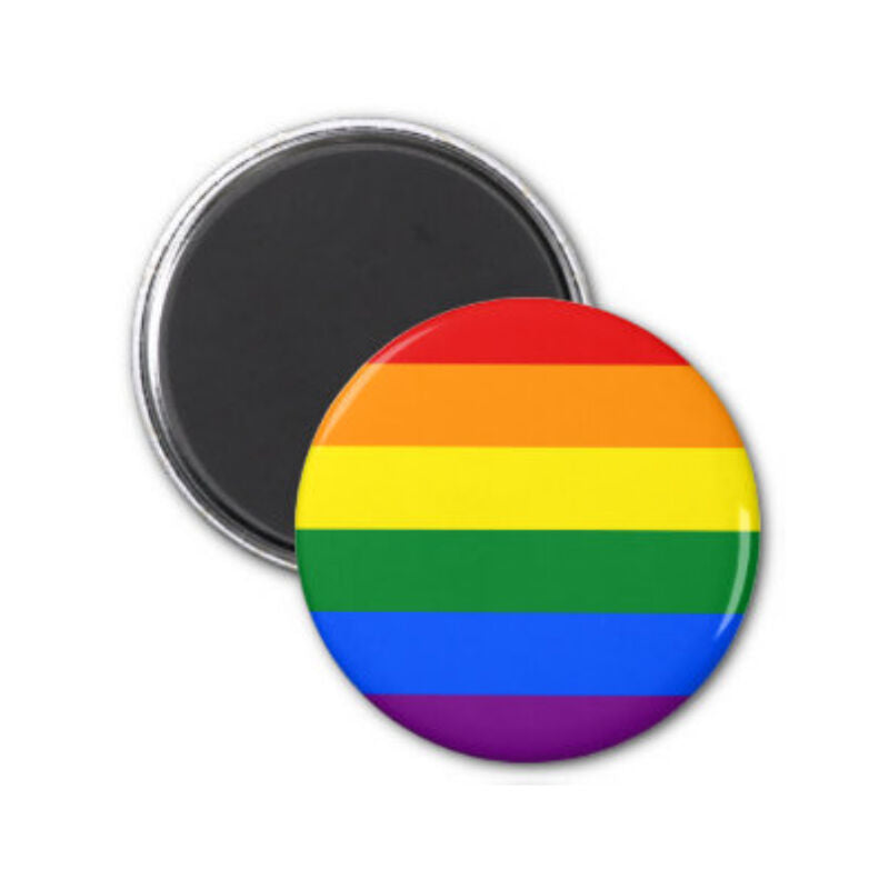 PRIDE AIMANT DRAPEAU LGBT