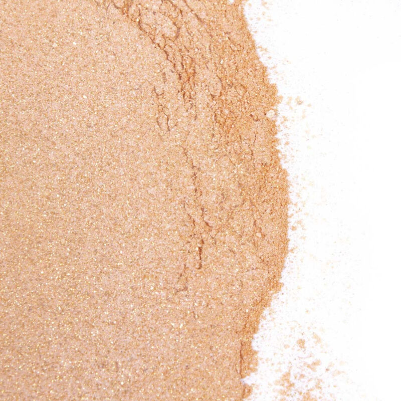 SECRETPLAY GOLDEN LIGHT KIT POUDRE COMESTIBLE ET PLUME APHRODISIAQUE CHOCOLAT