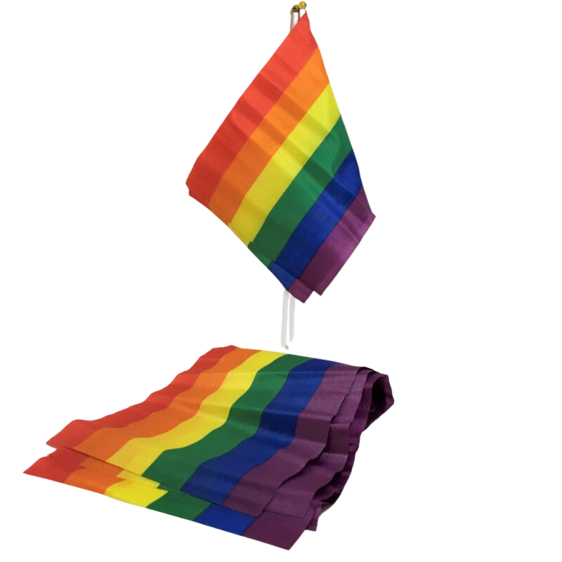 PRIDE PETITE BANNIERE DRAPEAU LGBT