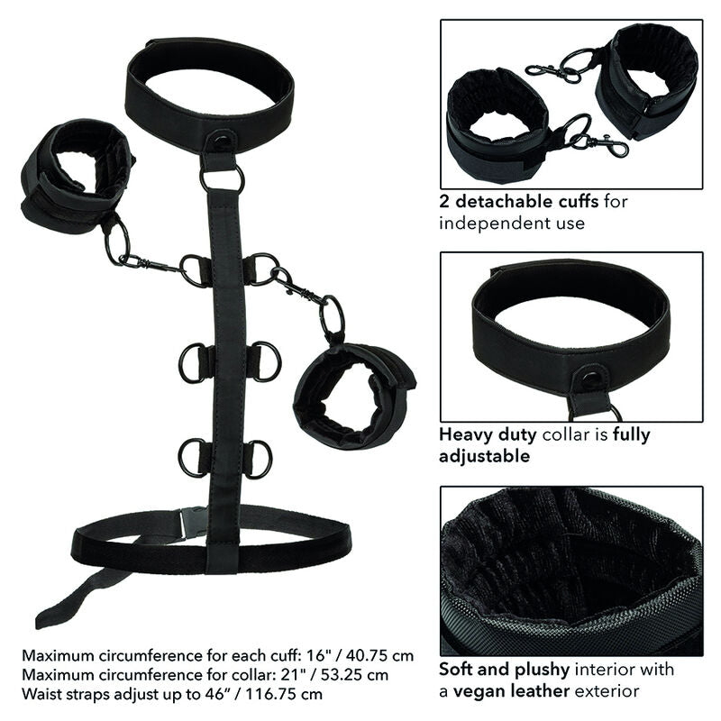 CALEXOTICS BOUNDLESS COLLIER DE RETENUE