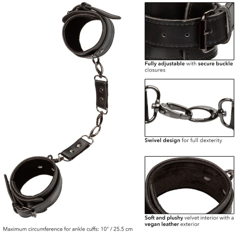CALEXOTICS — autre angle