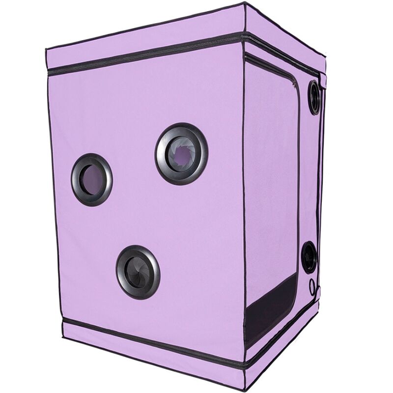 SECRET DOME KINK CLUB CABINE SCANDALE PURPLE