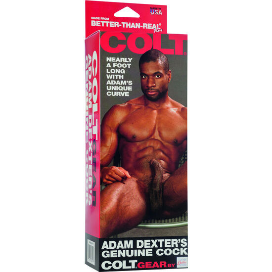 Gode réaliste Adam Dexter 21 cm avec ventouse — emballage