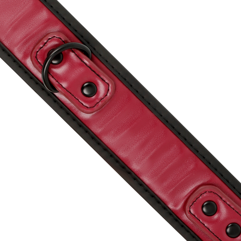 FETISH SUBMISSIVE DARK ROOM COLLIER CHAINE DOUBLURE EN NEOPRENE