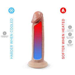 Gode Réaliste Double Densité 19 cm — Model 2 Premium