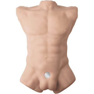Realistischer männlicher Torso mit Arsch und Schwanz – Apollo L