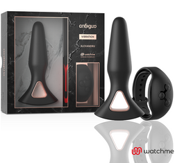 Plug anal Plug vibrant télécommandé rechargeable 12 cm — Alexandru en Silicone 12.2 cm vu de face