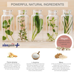 Complément SizeGain Plus 30 capsules — vue de profil