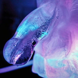 Gros plan sur un pénis en glace illuminé par des reflets bleus et violets