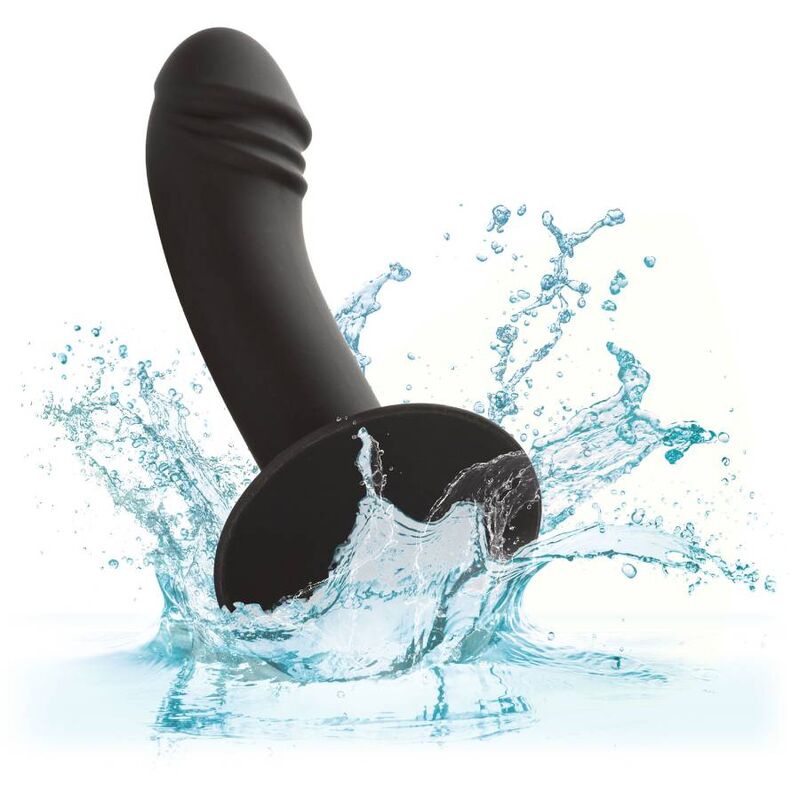 CALEXOTICS STUD ANAL COURB