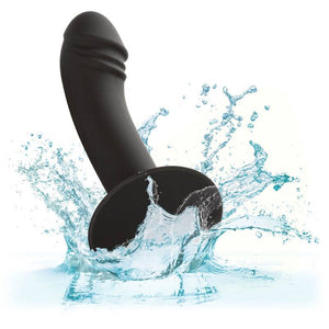 CALEXOTICS STUD ANAL COURB
