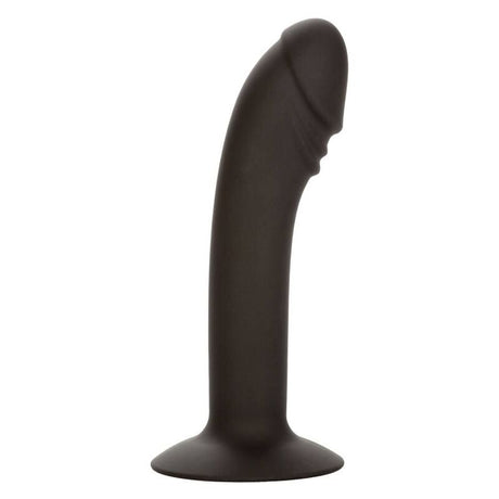 CALEXOTICS STUD ANAL COURB