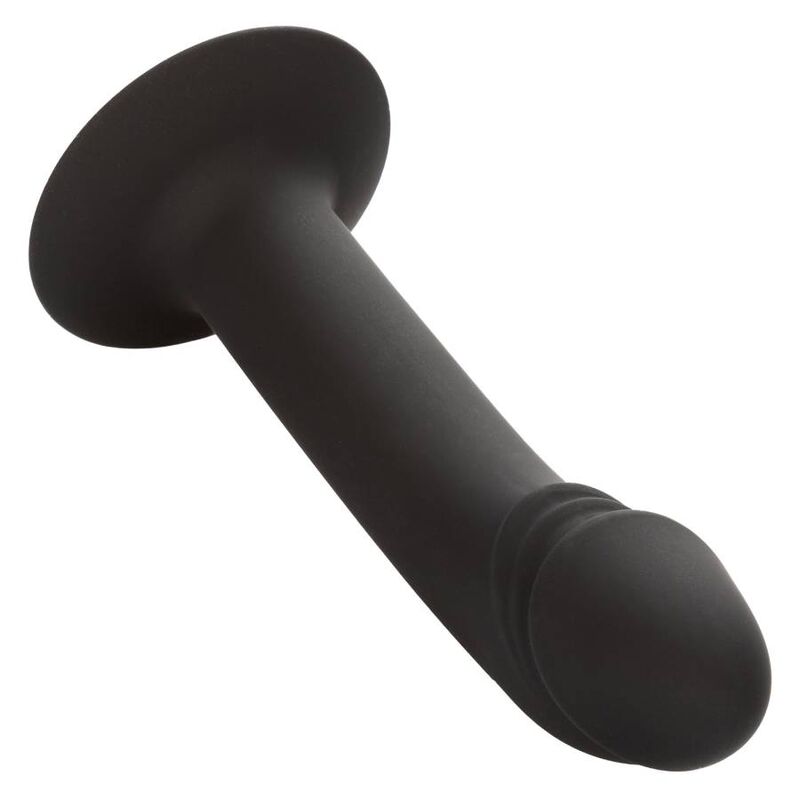 CALEXOTICS STUD ANAL COURB