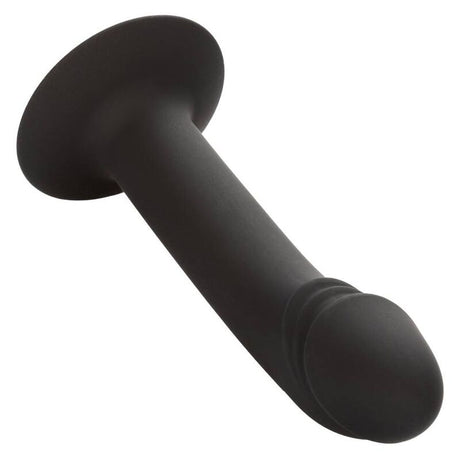 CALEXOTICS STUD ANAL COURB
