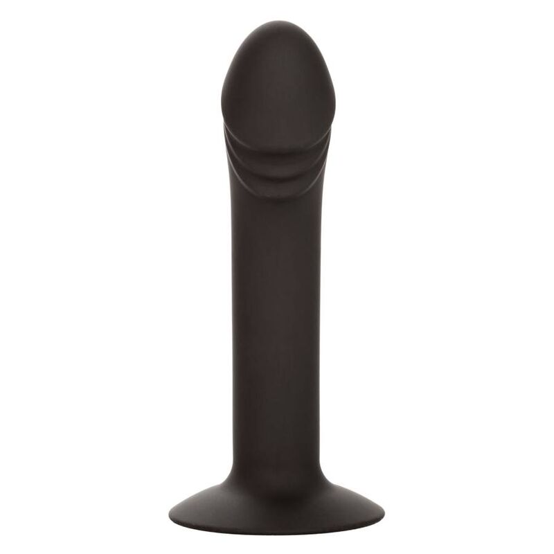 CALEXOTICS STUD ANAL COURB