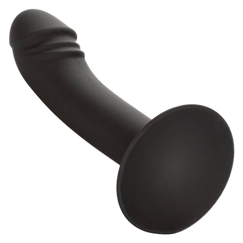 CALEXOTICS STUD ANAL COURB