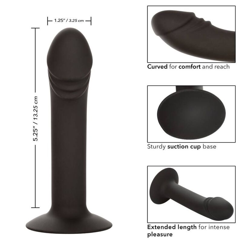 CALEXOTICS STUD ANAL COURB