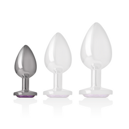 INTENSE PLUG ANAL EN METAL ALUMINIUM AVEC CRISTAL VIOLET TAILLE S