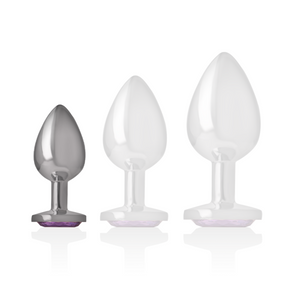 INTENSE PLUG ANAL EN METAL ALUMINIUM AVEC CRISTAL VIOLET TAILLE S