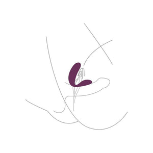 XOCOON — texture visible