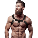 Lingerie Masculine
