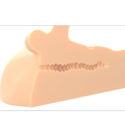 Masturbateur torse Perfect Ride avec pénis articulé 15 cm et anus — visuel produit