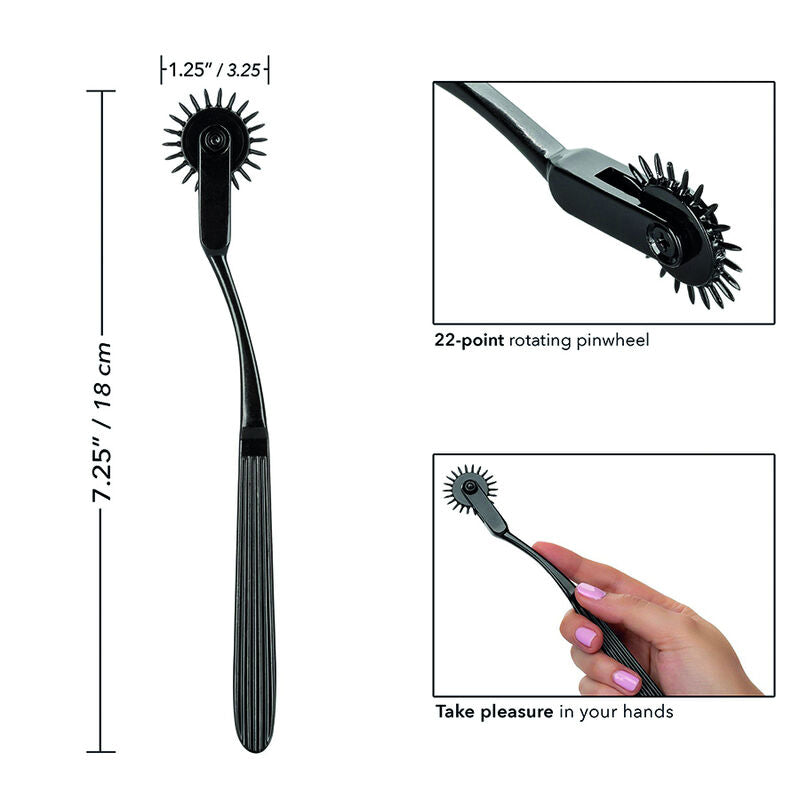 CALEXOTICS BOUNDLESS ROUE DE PLAISANCE