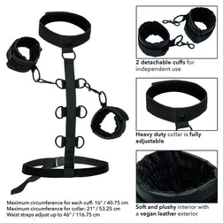 CALEXOTICS BOUNDLESS COLLIER DE RETENUE