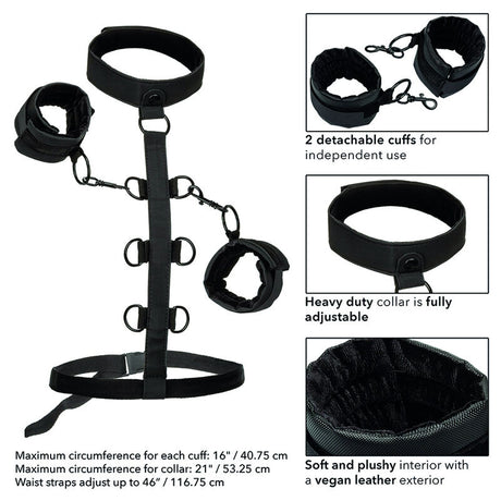 CALEXOTICS BOUNDLESS COLLIER DE RETENUE