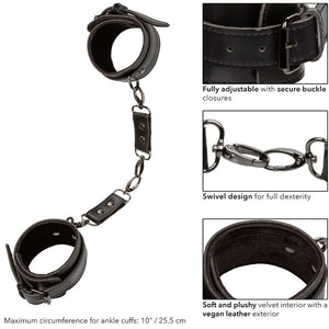 CALEXOTICS — autre angle