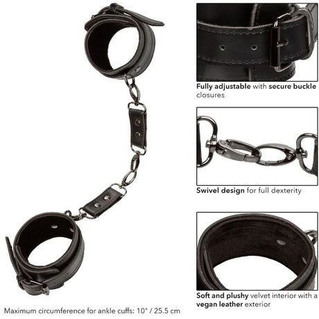 CALEXOTICS — autre angle