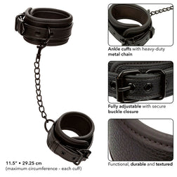 CALEXOTICS NOCTURNAL CHEVILLES REGLABLES EN CUIR NOIR