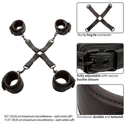 CALEXOTICS NOCTURNAL CONNECTEUR TIE HOG CUERO AJUSTABLE NOIR