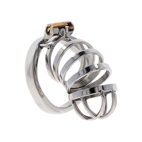 HIDDEN DESIRE EXTREME CAGE DE CHASTETE EN METAL