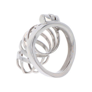 HIDDEN DESIRE EXTREME CAGE DE CHASTETE EN METAL