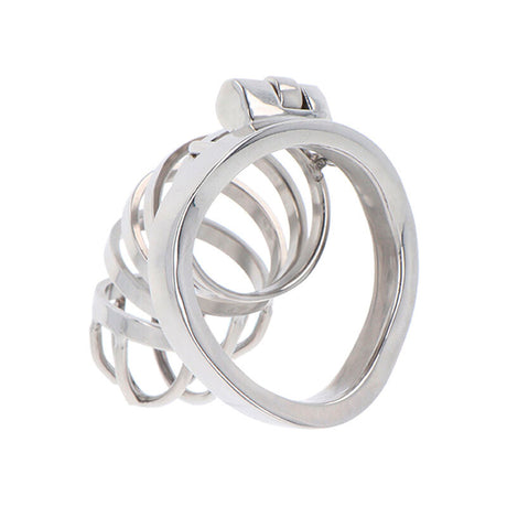 HIDDEN DESIRE EXTREME CAGE DE CHASTETE EN METAL