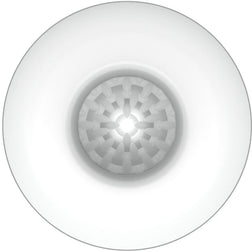 Gros plan sur la texture interne nervurée de l'œuf