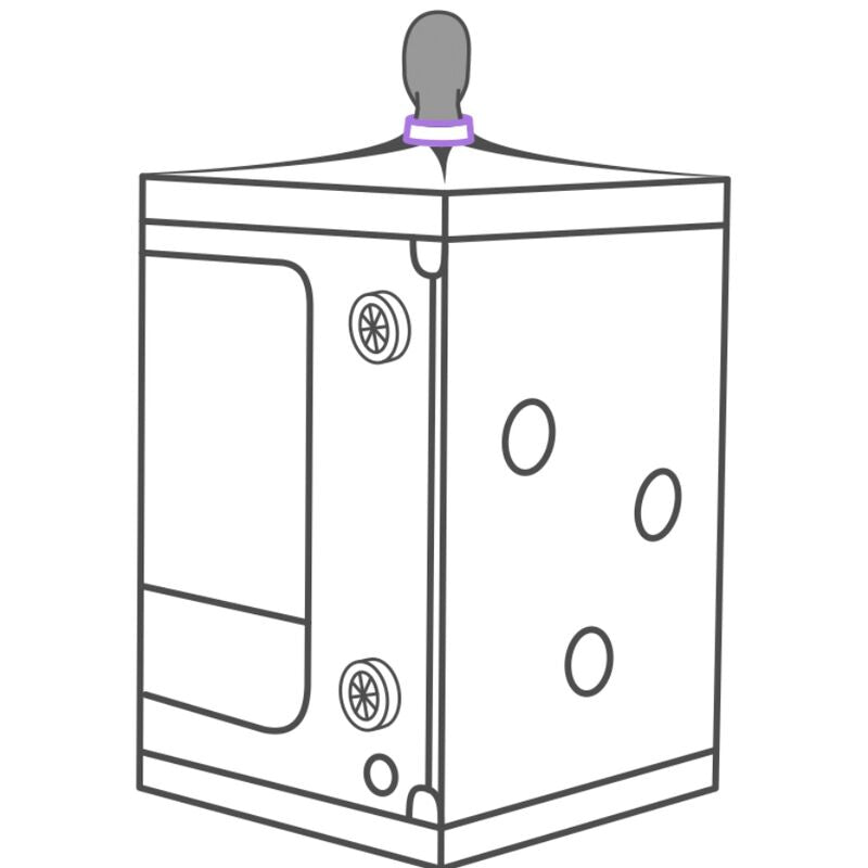 SECRET DOME KINK CLUB CABINE SCANDALE PURPLE