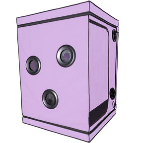 SECRET DOME KINK CLUB CABINE SCANDALE PURPLE