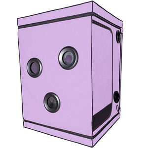 SECRET DOME KINK CLUB CABINE SCANDALE PURPLE