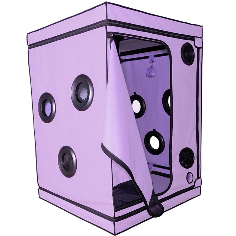 SECRET DOME KINK CLUB CABINE SCANDALE PURPLE