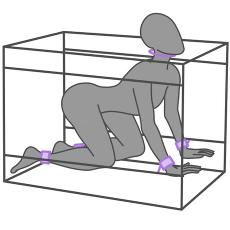 SECRET DOME KINK CLUB LA NICHE CABINE VIOLET