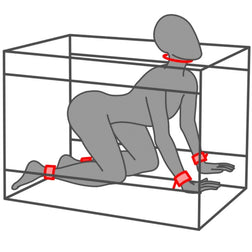 Niche BDSM portable Holedome + LED + menottes — La Niche — vue 2