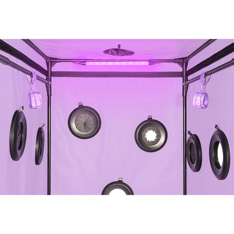 SECRET DOME KINK CLUB CABINE SCANDALE PURPLE