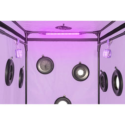 Cabine de jeu à glory holes réglables, violette — Scandale — vue 19