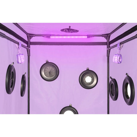 SECRET DOME KINK CLUB CABINE SCANDALE PURPLE