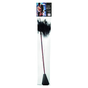 CALEXOTICS SCANDAL FOUET A PLUMES NOIRES