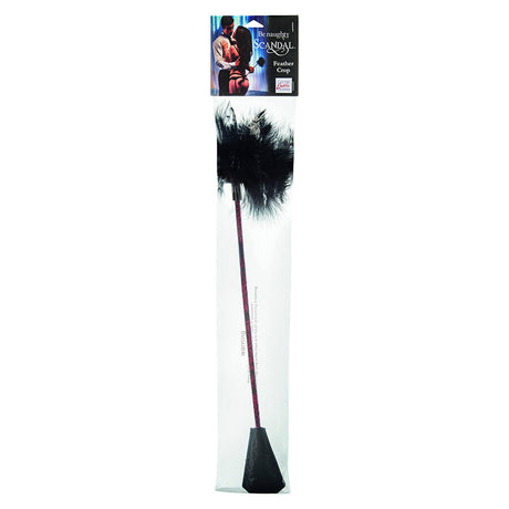 CALEXOTICS SCANDAL FOUET A PLUMES NOIRES