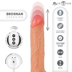 MR INTENSE BROSNAN REALISTIC MULTIFUNCTION WITH VIBRATION REMOTE UP DOWN 22 CM