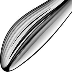 Gode acier inox double extrémité lourd 22 cm — Pure Gravity 1